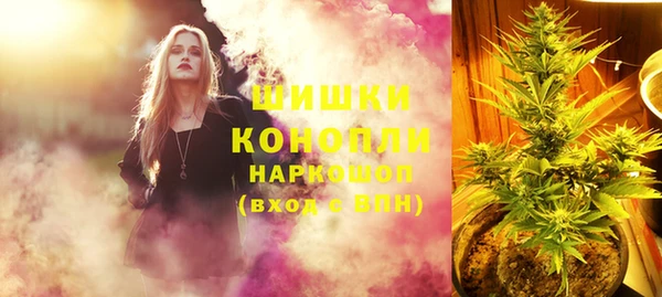 тгк Гусиноозёрск