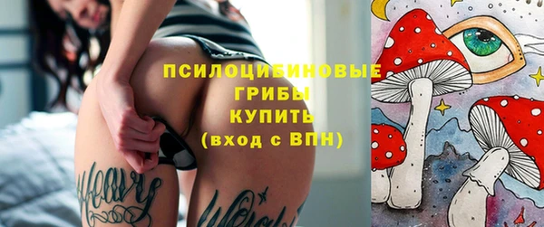 тгк Гусиноозёрск