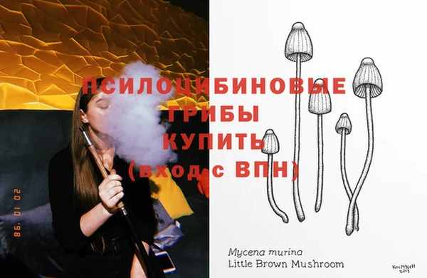 тгк Гусиноозёрск